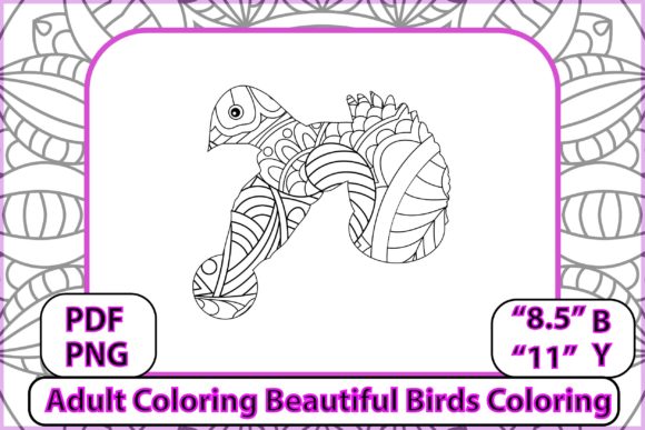 Download Adult Coloring Beautiful Birds Coloring - Premium Resources
